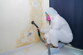 Mold Remediation for Vacation Homes in Wooster, OH